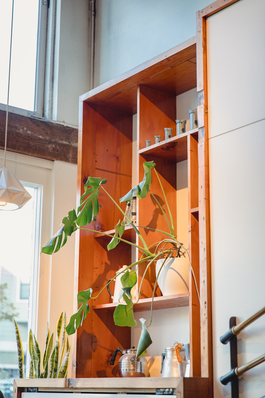 Photo "How to intelligently use small spaces for vertical gardening"