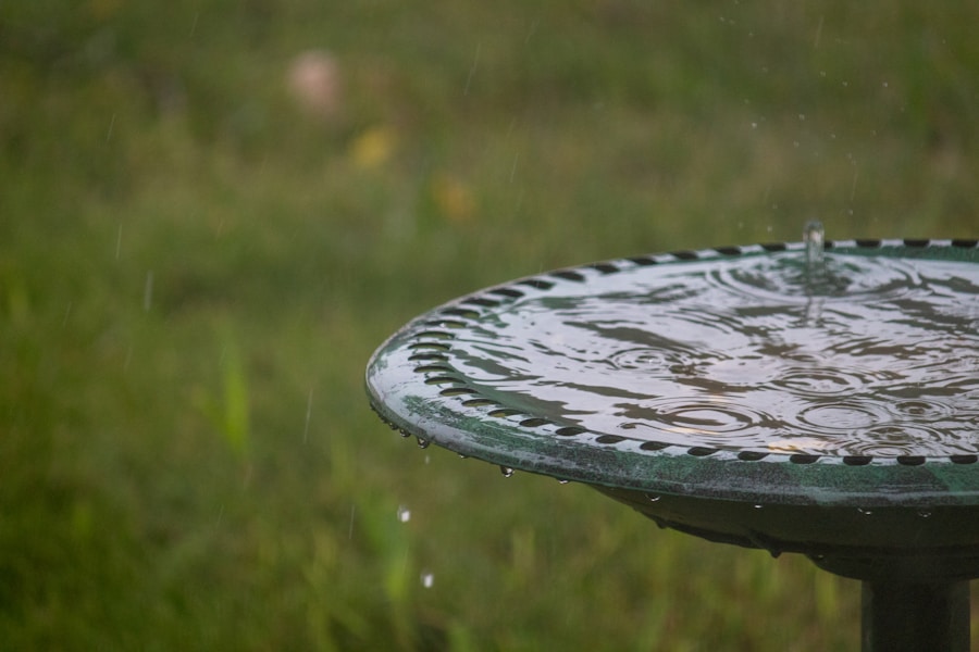 Photo "How to collect and use rainwater efficiently in the household"