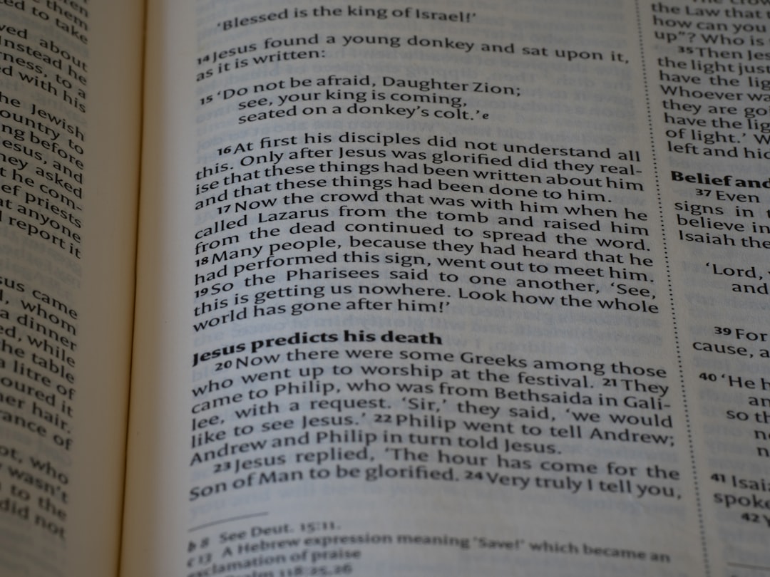 Photo Romanian recipes