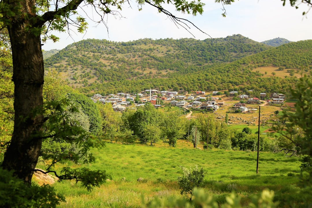 Photo visit Sighisoara