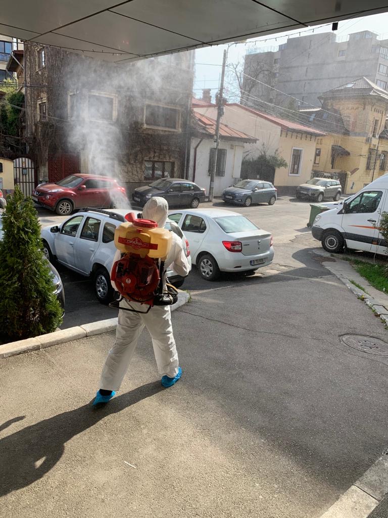 Beneficiile deratizării regulate în spațiile rezidențiale și industriale