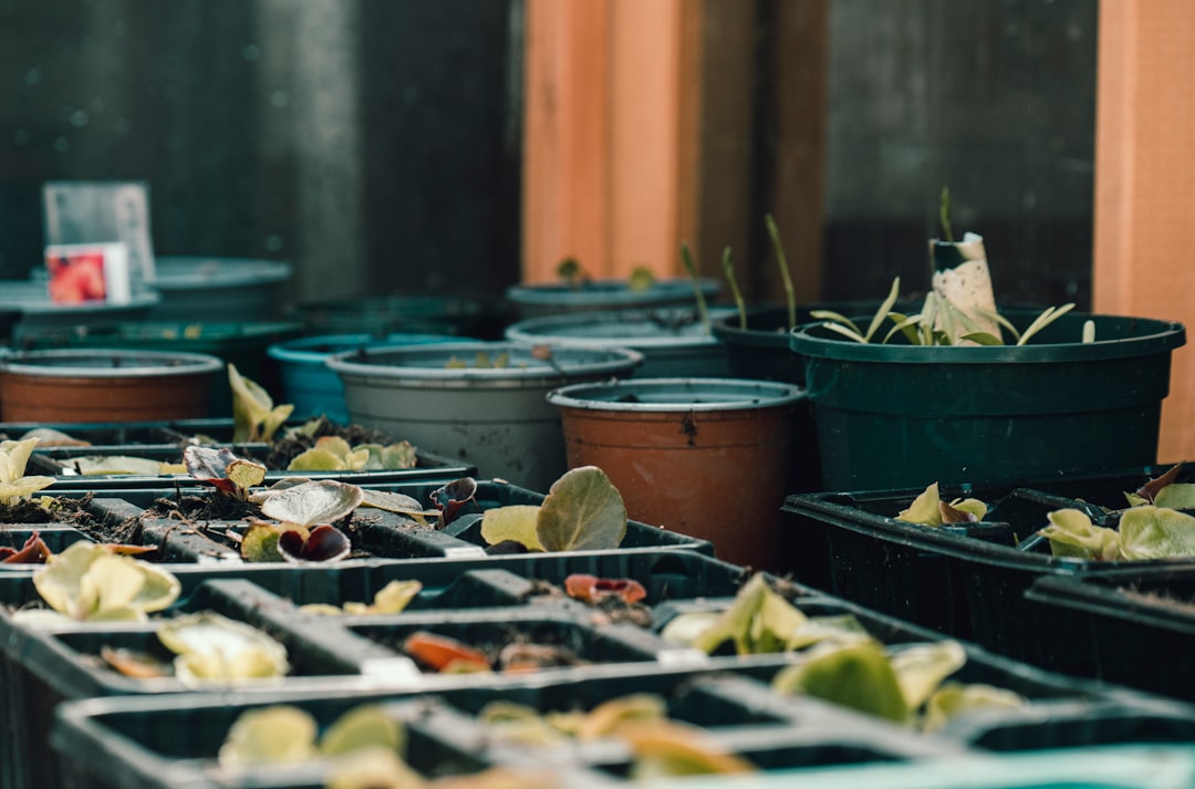 Photo reduce food waste