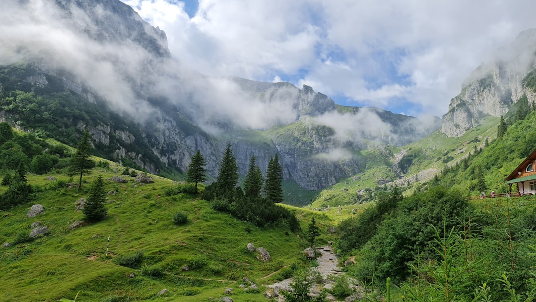 Photo Carpathian Mountains