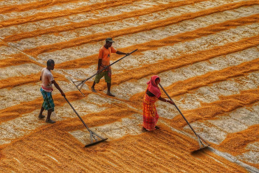 depopulation rural economy