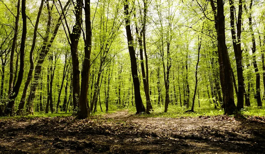 environment and nature facts