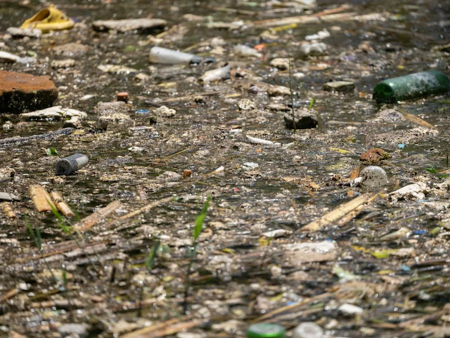 Photo common environmental mistakes nature
